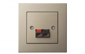 Kõlaripesa Epsilon raamita šampanja