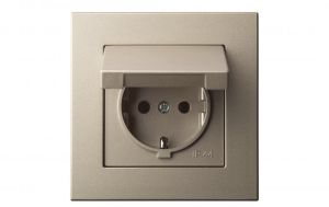 Maandusega pistikupesa Epsilon kaanega šampanja