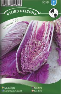 Hiina kapsas Scarvita Nelson Garden