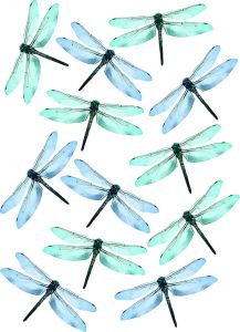 Staatiline kleebis Plage Kiil