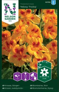Suur mungalill Yellow Troika