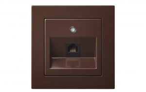 Arvutipesa Epsilon raamita, pruun