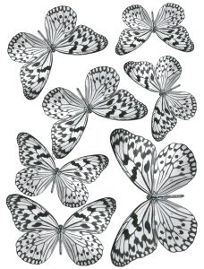 Staatiline kleebis Plage Liblikas 29,7 x 21 cm