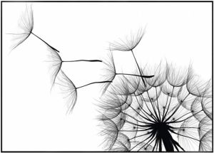 Sisustuspilt Reinders Dandelion