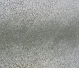 Kleepkile D-C-Fix Sofelto