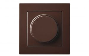 Dimmerlüliti Epsilon, raamita