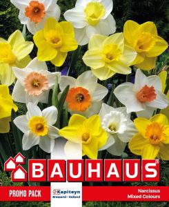 Nartsiss Mix 15 tk