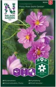 Kosmos Fizzy Pink Dark Center