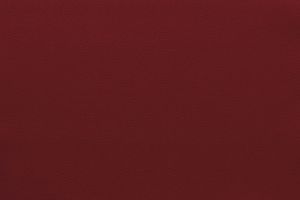 Kunstnahk Noblessa, punane