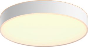 LED-laevalgusti Philips Hue Enrave