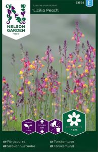 Käokannus Nelson Licilia Peach