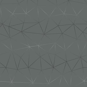 Kleepkile D-C-Fix Tico Silver 45 cm x 2 m