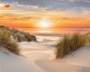 Sisustuspilt Reinders Beautiful Dunes 40 x 50 cm