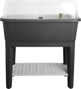 Kasvatuskast Elho Noa kaanega