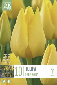 Tulp Friendship 10 tk