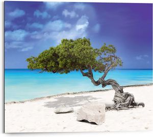 Sisustuspilt Reinders Tropical Tree 40 x 50 cm