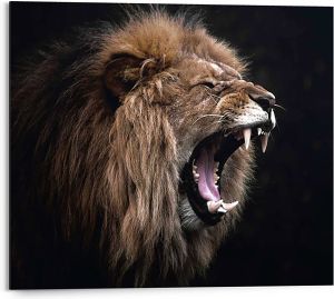 Sisustuspilt Reinders Roaring Lion 40 x 50 cm