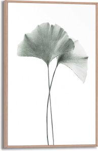 Sisustuspilt Reinders Ginkgo 20 x 30 cm