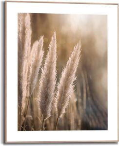 Sisustuspilt Reinders Sunset Grasses 40 x 50 cm