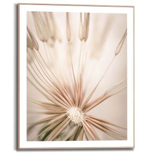 Sisustuspilt Reinders Dandelion Heart 40 x 50 cm