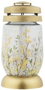 Hauaküünal klaasis 36 h Forsüütia