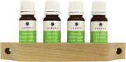 Saunaaroomid Emendo puidust alusel 4 x 10 ml