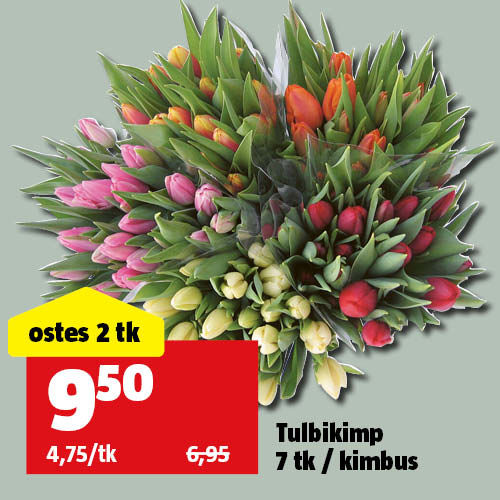 Tulbikimp 7 tk / kimbus: ostes 2 tk, maksad 9,50 &euro;