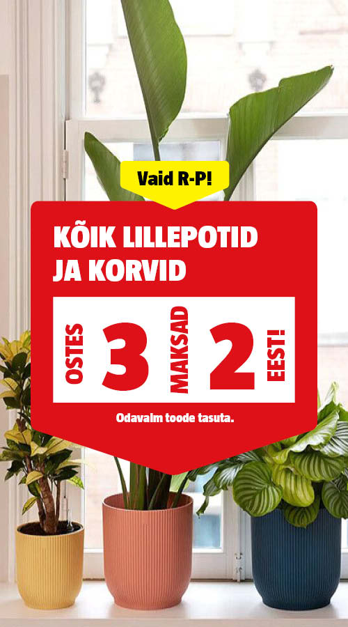 Vaid R-P! K&otilde;ik toataimed ostes 3, maksad 2 eest.