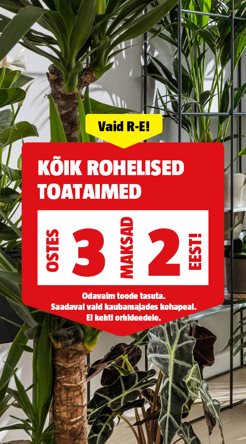 Vaid R-E! K&otilde;ik rohelised toataimed ostes 3, maksad 2 eest.