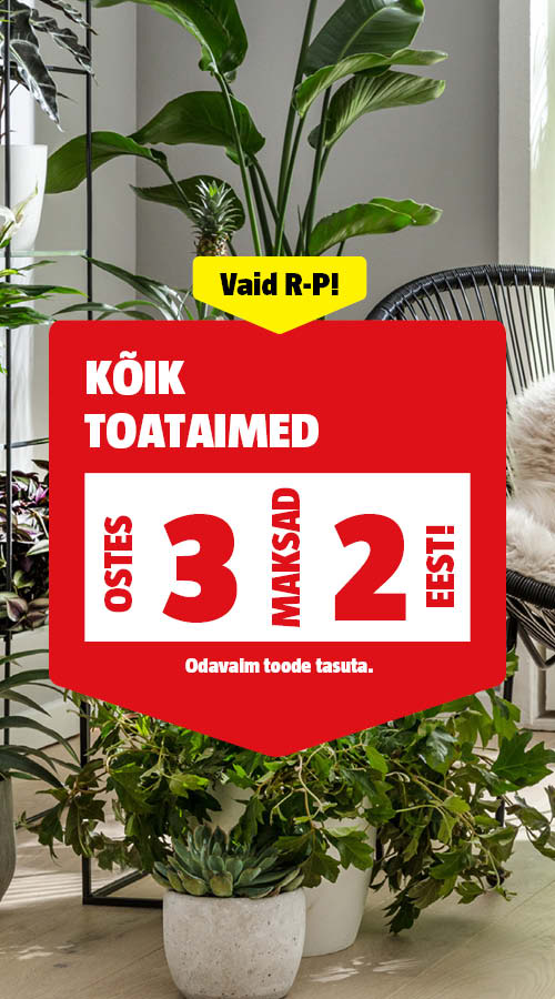 Vaid R-P! K&otilde;ik toataimed ostes 3, maksad 2 eest.