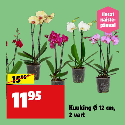 Kuuking &Oslash; 12 cm, 2 vart hinnaga 11,95&euro;