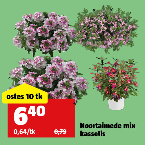 Noortaimede mix kassetis: ostes 10 tk, maksad 6,40&euro;