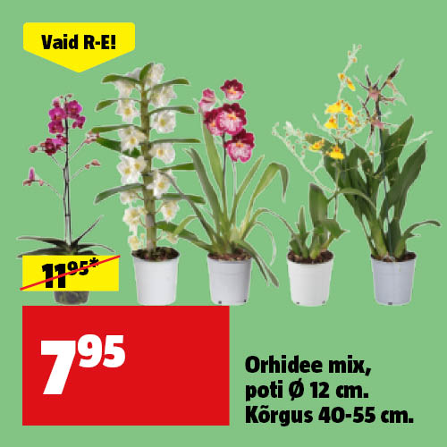 Vaid R-E! Orhide valik &Oslash; 12 cm