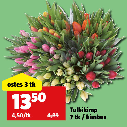 Tulbikimp 7 tk / kimbus: ostes 3 tk maksad 13,50&euro;