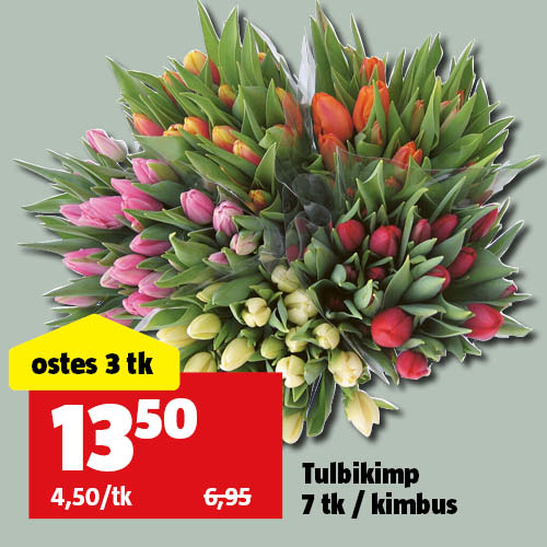 Tulbikimp 7 tk / kimbus: ostes 3 tk maksad 13,50€