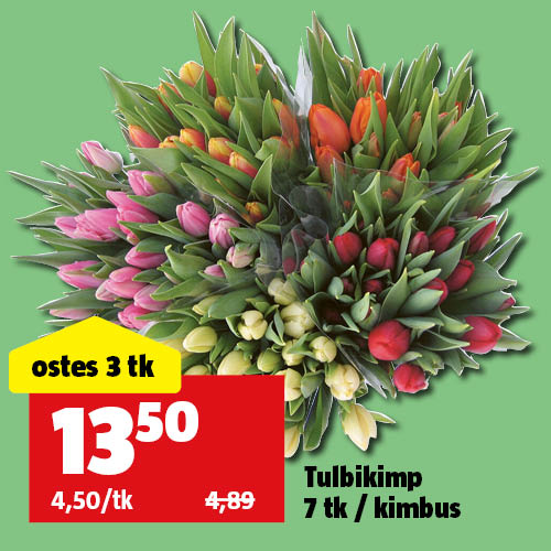 Tulbikimp 7 tk / kimbus: ostes 3 tk maksad 13,50&euro;