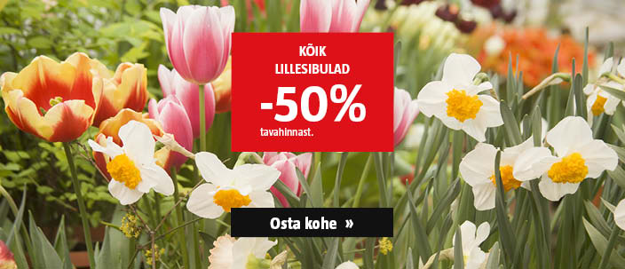 Kõik lillesibulad -50% tavahinnast.