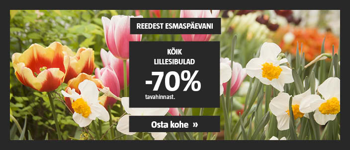 Vaid R-E! Kõik lillesibulad -70% tavahinnast.