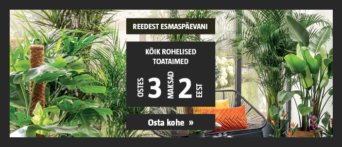 Vaid R-E! Kõik Rohelised toataimed ostes 3, maksad 2 eest. Saadaval vaid kaubamajades kohapeal.