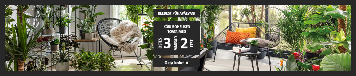 Vaid R-P! Kõik rohelised toataimed ostes 3, maksad 2 eest.