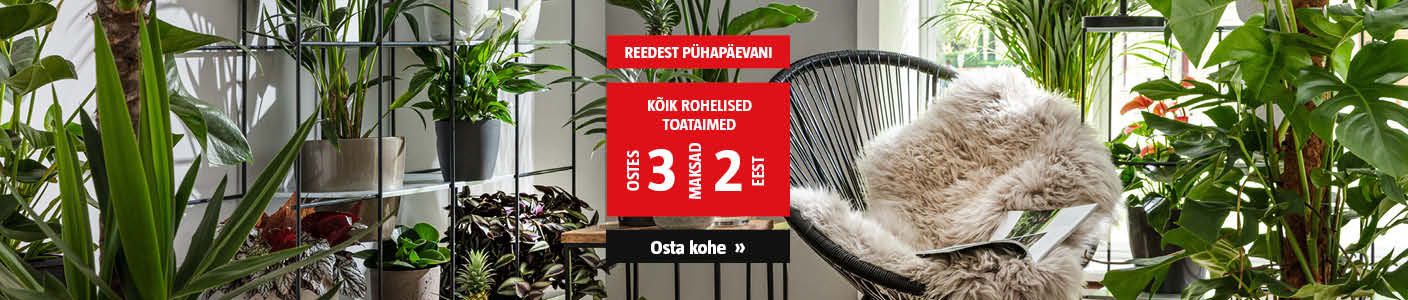 Vaid R-P! Kõik rohelised toataimed ostes 3, maksad 2 eest.