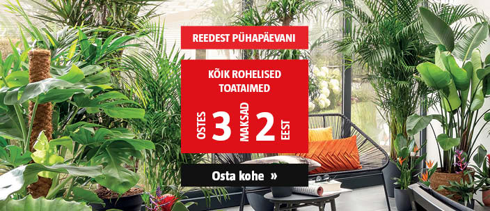 Vaid R-P! Kõik rohelised toataimed ostes 3, maksad 2 eest.