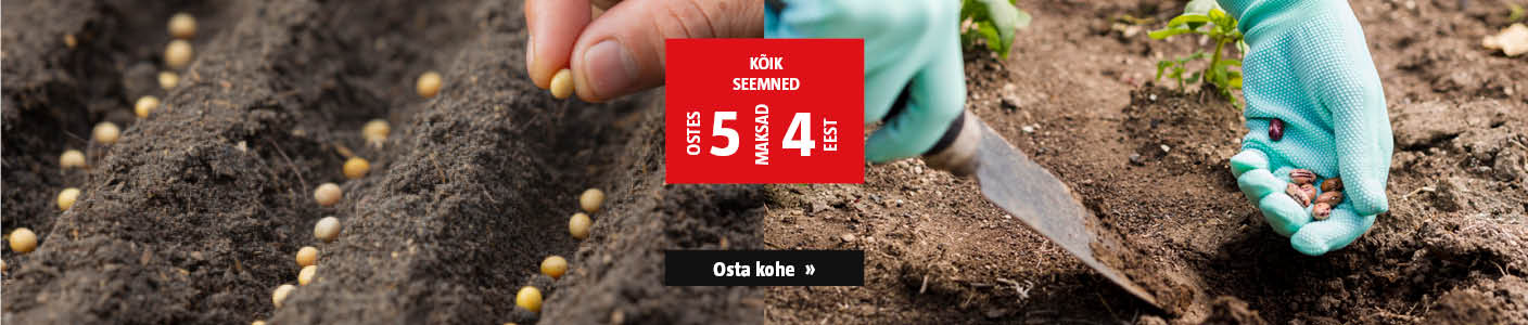 Kõik seemned ostes 5, maksad 4 eest