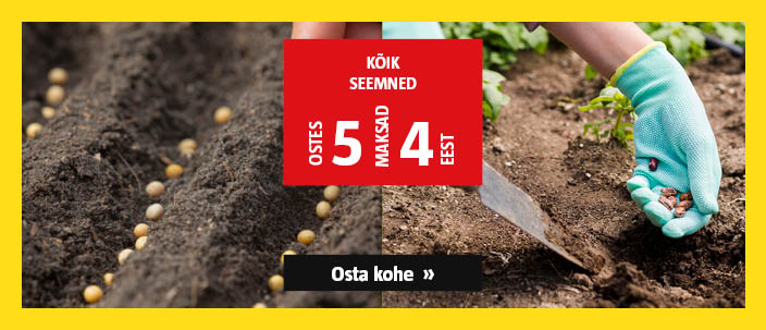 Kõik seemned ostes 5, maksad 4 eest.